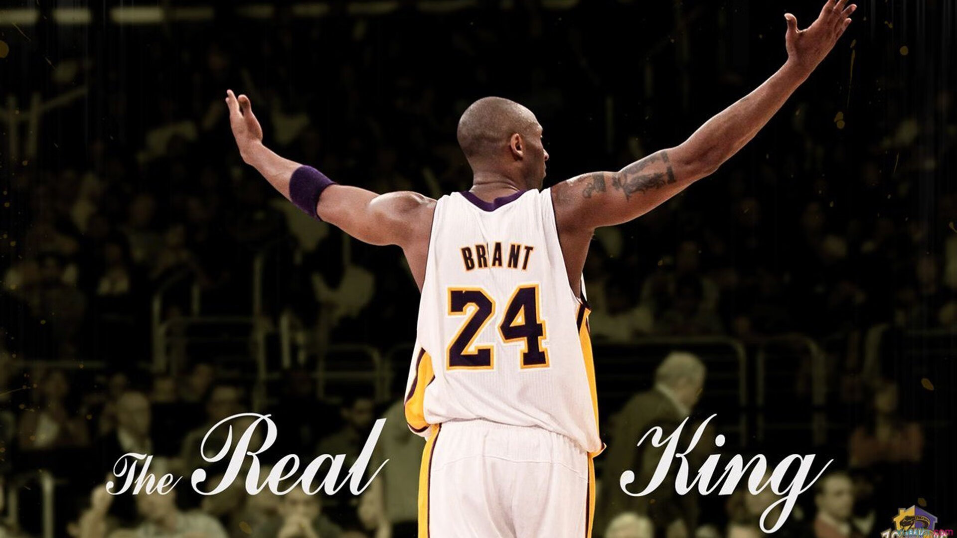 _湖人队士气高昂,向季后赛目标迈进_,湖人队v